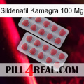 Sildenafil Kamagra 100Mg 19
